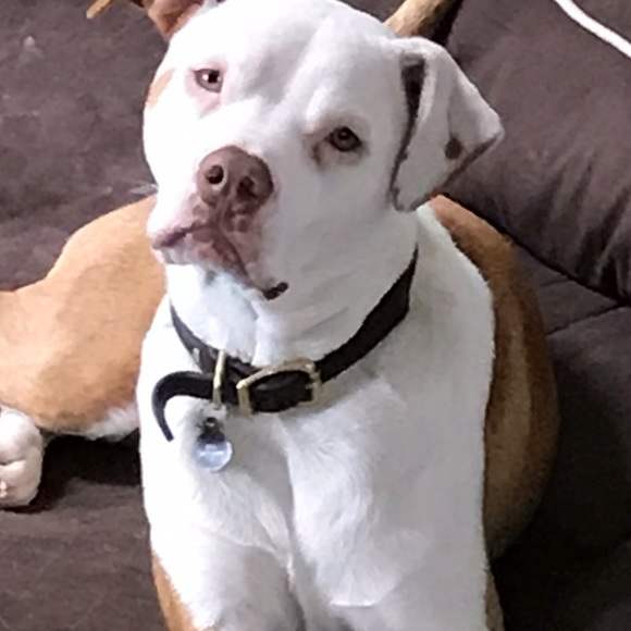 Meet your Posher, Christine - Picture 4 of 7